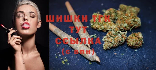 сатива Белокуриха